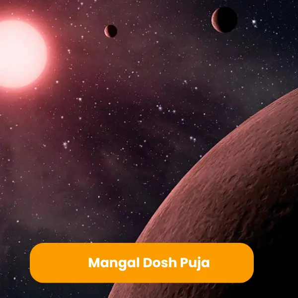 उज्जैन मंगलनाथ मंदिर में मंगल दोष पूजा